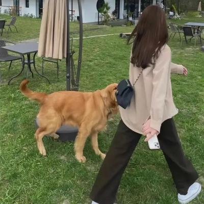 玛尼图的鞋