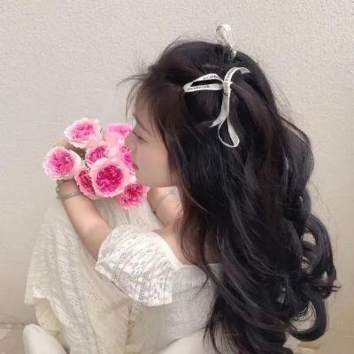 唯一的迪克·格雷戈里